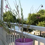 Cosy By The Sea * Metamorfosi (Sithonia)