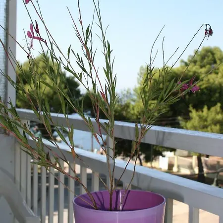 Cosy By The Sea * Metamorfosi (Sithonia)