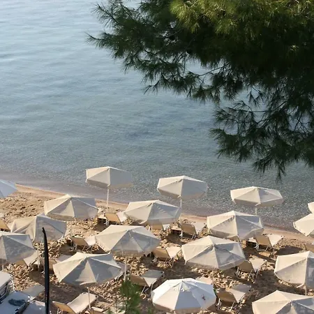Apartmán Cosy By The Sea Metamorfosi (Sithonia)