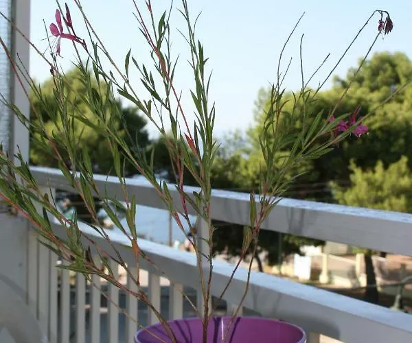 Cosy By The Sea * Metamórfoszi