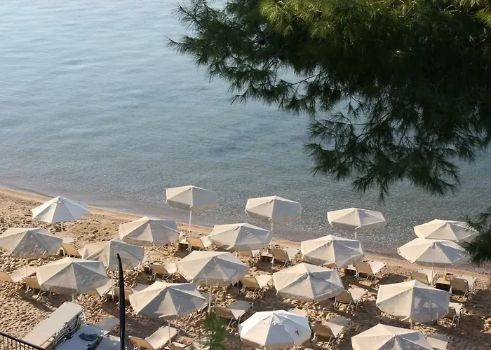 Apartamento Cosy By The Sea Metamorfosi (Sithonia)