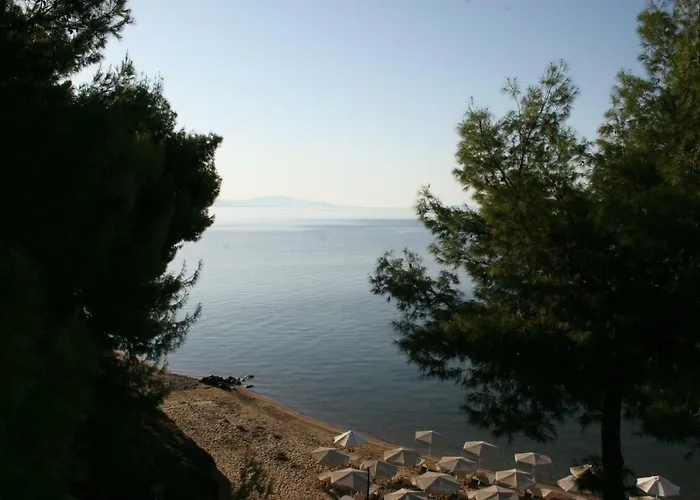 Cosy By The Sea Apartman *